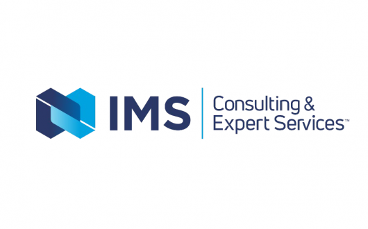 IMS Consulting & Expert Services