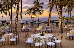 Fairmont Orchid